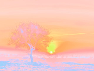 Naklejka na ściany i meble view morning of alone tree in meadow with sunrise background, convert colored for illustration texture background.