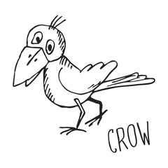 Hand drawn doodle crow. Vector.