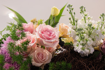 Pink rose on a flower background at decorated to celebrate the anniversary inside department store.and shopping. Select focus.