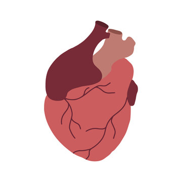 Flat illustration of realistic heart with aorta and veins. Medical picture. Original element for cards on Valentine Day. The object is separate from the background. Vector element for your creativity.