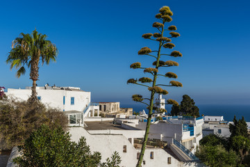 Village on the seaside