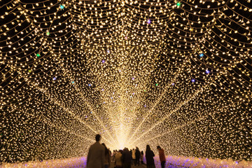 Nabana No Sato 2019-2020 (Oct 19 - May 6) is one of the most popular illumination events in Japan...