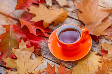 Autumn Background with tea cup, colorful leaves