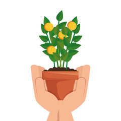 hand with plant of coins isolated icon vector illustration design