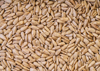 texture of peeled sunflower seeds