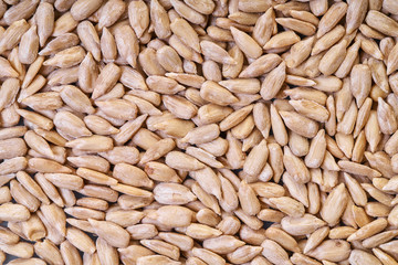 texture of peeled sunflower seeds