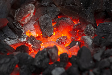 Embers glow in a bonfire, close view. Fire, heat, coal and ash.