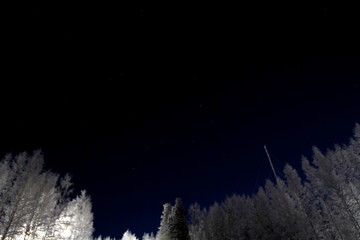 Fototapeta premium Night sky.