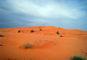 sand dunes in the desert
