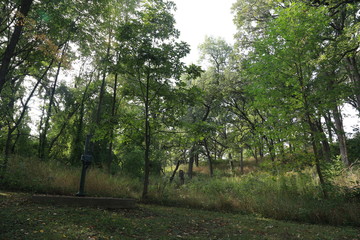 Obraz premium Hike in the Woods and Forest