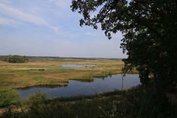 Hike in the Woods and Forest