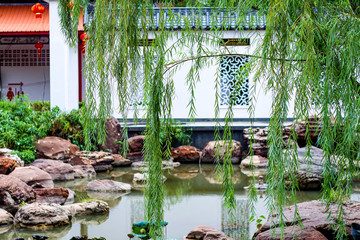 garden with plants and plants in pots