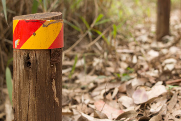 Wooden Roadside Marker In Forest