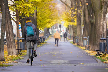 tall guy with a yellow scarf, a blue backpack and a gray jacket is riding a Bicycle along the Avenue of the autumn Park. wet path after rain, fallen yellow leaves. the back of a man riding a Bicycle