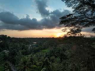 November, 2019: Sunset over rice field. Ubud, Bali