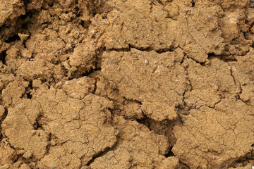 Macro Surface Dry soil land and cracked ground texture background - light brown color - Top view                               