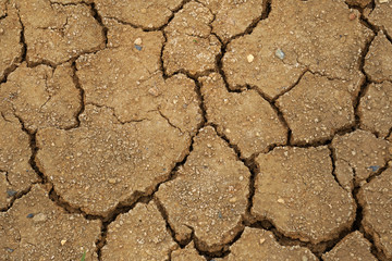 Macro Surface Dry soil land and cracked ground texture background - light brown color - Top view                               