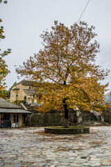 Naklejka premium The beautiful orthodox church of Agia Paraskevi in the square of the village Rodavgi in Tzoumerka , Arta, Greece