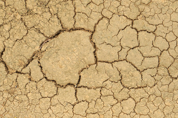 Macro Surface Dry soil land and cracked ground texture background - light brown color - Top view