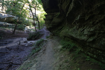 Nature hike with Canyons