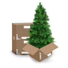 Artificial Christmas tree and pine. Delivery of toys and Christmas accessories