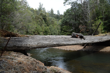 Naklejka na ściany i meble Wooden bridge over the river