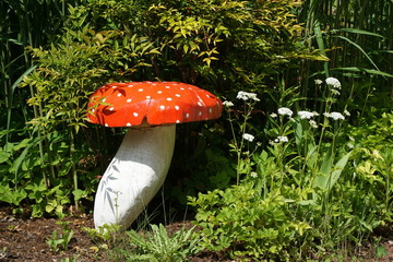 Fliegenpilz