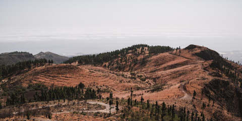 Fototapeta premium Beautiful panorama seen from the mountain Pico de la Gorra in Gran Canaria