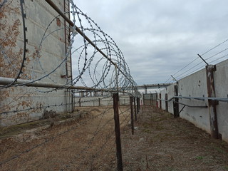 Fototapeta premium grim view of barbed wire and gray fence. Abandoned building. Ominous sky, cloudy day.