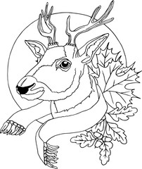 The head of a young handsome stately proud deer in a scarf