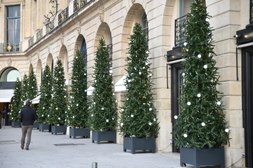 Sapins de Noël à boules blanches