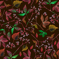 Watercolor Hand drawn seamless pattern branch of the wild vine plant. Red, yellow, orange leaves on the branch on dark background.  Design for packaging, fabric, textile, wallpaper, website, cards.
