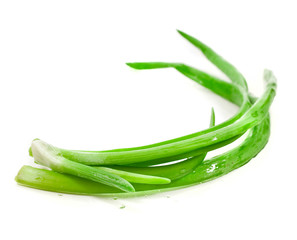 Fresh green onion isolated on a white background.