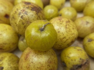 Amla or phyllanthus emblica. Closeup image of Indian gooseberry.