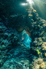 Fototapeta na wymiar woman diver visiting underwater cave in the Red Sea, egypt, Shaab Claude