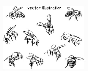 sketch of bees