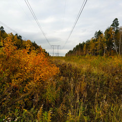 In the middle of the field are high voltage power lines.