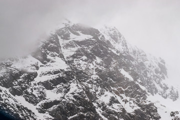 Monkey Creek, Milford Sound