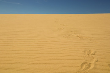 Footprints on the sand against the clear blue sky