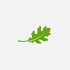 Fotobehang Green leaf ecology nature element vector icon, Leaf Icon, green oak leaf ecology nature element vector © kursi_design