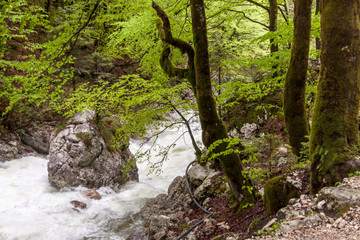 Vintagr gorge - Slovenia.