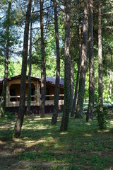 Fototapeta na wymiar House in a pine forest