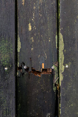 Cracked old wooden planks with moss