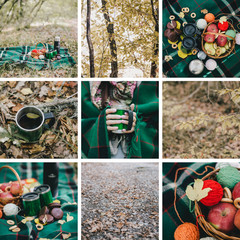 Autumn picnic with green details collage
