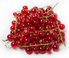 Crimson red, or Crimson plain, or Gardener