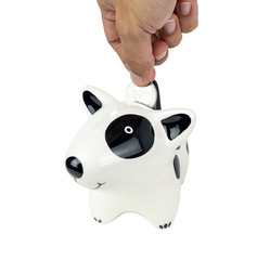 Putting coin in dog bank. Isolated on white background. Close up shot. With clipping paths.