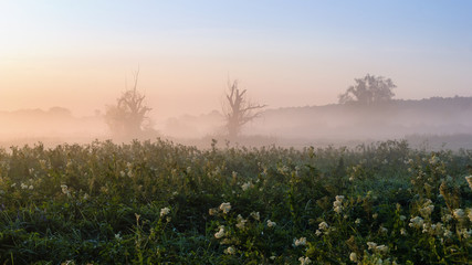 Poranne mgły nad Narwią, Dolina Górnej Narwi, Natura 2000, Podlasie, Polska © podlaski49