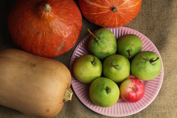 Still life orange yellow pumpkins butternut squash and red green pears, autumn farm harvest on retro canvas and pink plate. Autumn fall atmospheric dark harvest organic vegetable