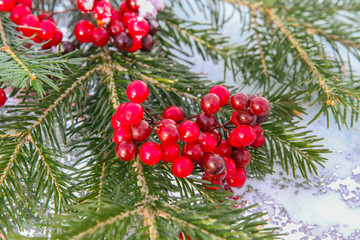 Christmas fir decoration with red berries isolated on white