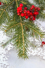 Christmas fir branch with red berries. selective focus